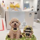 연두네놀이터 | 남양주 구리 강아지케이크 연두네놀이터 강아지전신입체케이크 너무 귀여워