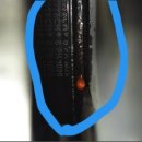 오토오아시스 롯데마트 군산점 이미지