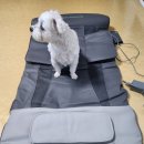 쿨럭 | 회복템! 스트레칭 마사지기 추천 하루 10분 스트레칭 마사지 쿨럭 전신스트레칭 마사지기 내돈내산 후기