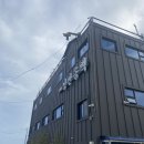 송백농장 | 강서구카페 : 낭만송백