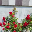 바람아래해수욕장 이미지