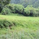 어상천면사무소 이미지