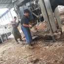 우사랑동물병원 이미지