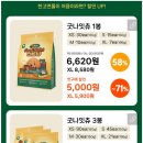 신상출시기념 강아지 치석껌 굿나잇 츄 할인 이미지