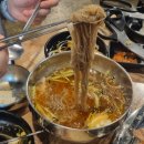 고고돼지 이미지