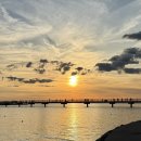 슈퍼 트렁크 | 시흥 거북섬 오션뷰 베이커리카페 블루트렁크 내돈내산 솔직후기