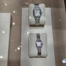 (주)팬더8 | 대구 신세계 까르띠에 팬더 미듐 오픈런 2026.1월 인상 전 구매완료