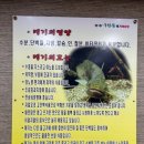 무주구천동 메기매운탕 이미지