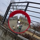 해바라기어린이집마당 | (육아) 아이랑 가볼만한곳 체험학습장 &#39;굼프로곤충체험&#39; (양평 실내동물원 / 먹이주기체험 / 광고X)