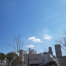 뉴현대114공인중개사사무소 | 서울시 서대문구 남가좌동 현대아파트 141/114 42평 매매