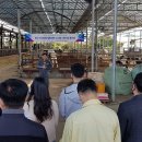 성주축산 이미지