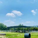 논산애견 이미지