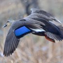 하늘을 향하여 이미지