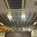 둔산중로 이미지