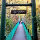 수타사 산소길 걷기 축제 (총 거리 약 5km / 소요시간 약 2시간)=1,300년 세월 품은 고찰과 오색 단풍 지친 마음에 산소를 채 이미지