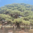 울산아지매집 이미지