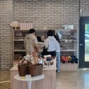 구례군(구례교) 네이버블로그