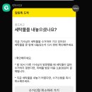 수정세탁 | 런드리고 겨울옷 니트 세탁 내돈내산 후기 친구초드 쿠폰