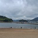 오동도