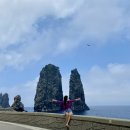 태성렌트카 이미지