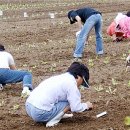 한강가족농장 이미지