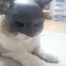 두부당