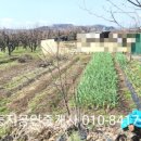 용촌농장 이미지