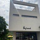 빅핸드(Big hand) | 파주 헤이리 야외 테라스 애견동반 카페 빅핸드 big hand 다녀온 내돈내산 솔직후기