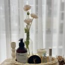 올디너리아트 이미지