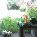 무념무상 이미지