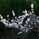 미선축산 이미지