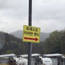 포레스트 카라반 랜드 | [가평] 애견동반 가능한 포레스트카라반랜드 추천