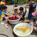 현도초등학교 이미지