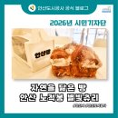 하이카프라자 사동점 | 자연을 닮은 빵 안산 노적봉 별빛츄리｜리뷰 및 구매처 안내