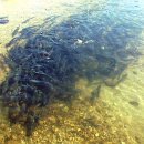 여울안경 이미지