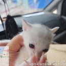 구암동583 이미지