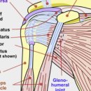 봄날정형외과의원 | 제로이드선크림, 대구화상치료 [서부통신경외과] 남구 대명동, 달서구 송현동, 일광화상예방, MD썬크림