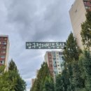 압구정-265 이미지
