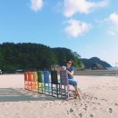 힐링 - 보성군 남부관광로 2326-1 | 힐링