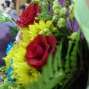 종은목장 이미지