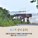 만돌어촌체험휴양마을 이미지