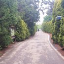 독립-16-05 이미지