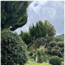 오봉리 돌담집 이미지