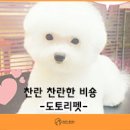 도토리펫샵 이미지