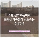 호매실카페공인중개사사무소 이미지