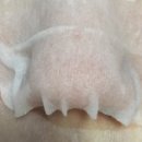 (주)퍼피웍스 이미지