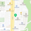 이음캣 | 인천신현동동물병원 고양이 방광염 치료 후기｜혈뇨와 소변 실수로 시작된 빵순이 이야기