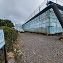 김희찬농장 이미지