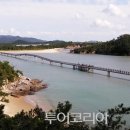 자은도에서 이미지