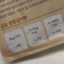 펫브로 이미지
